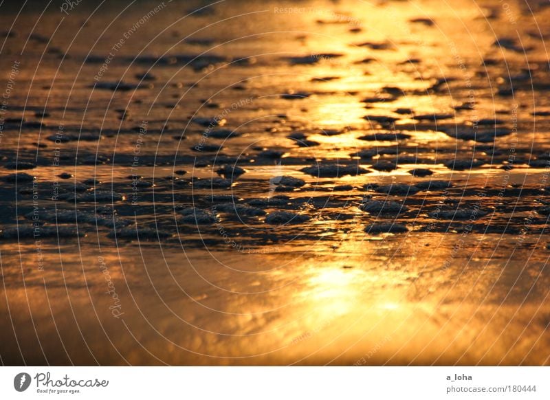 explore. dream. discover. Gedeckte Farben Außenaufnahme Morgendämmerung Sonnenaufgang Sonnenuntergang Schwache Tiefenschärfe Natur Urelemente Sand Wasser Küste