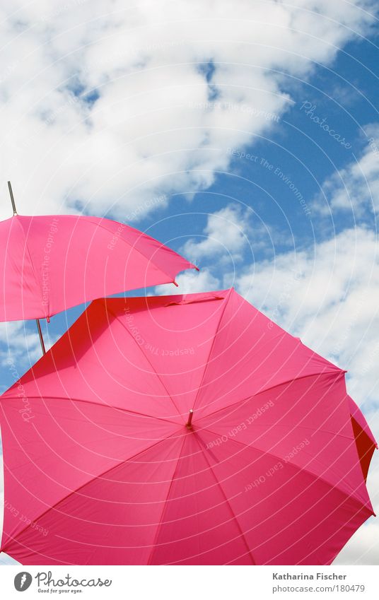 Where the pinkies go Freude Sommer Sonne Kunst Umwelt Himmel Wolken Sonnenlicht Klima Wetter Schönes Wetter Wind Wärme blau rosa weiß Regenschirm Sonnenschirm