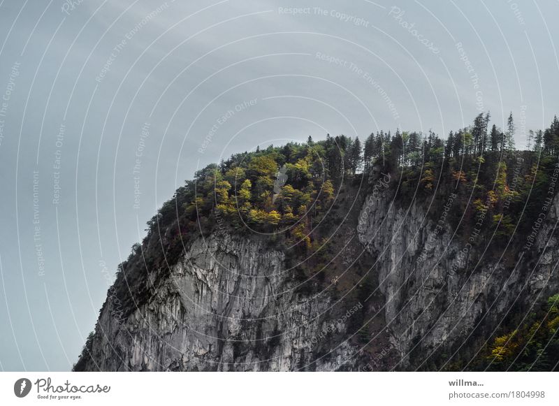 Die Kampenwand Felsen Berge u. Gebirge Chiemgauer Alpen Mischwald Wald Bayern natürlich Berghang Felswand Ausflugsziel Farbfoto Außenaufnahme Natur Landschaft