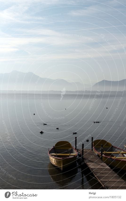 morgens am Chiemsee... Umwelt Natur Landschaft Tier Wasser Himmel Wolken Herbst Nebel Berge u. Gebirge See Bootsfahrt Ruderboot Steg Vogel Tiergruppe ästhetisch