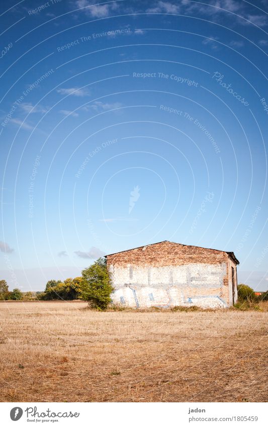 ländlicher raum. Traumhaus Garten Landwirtschaft Forstwirtschaft Natur Landschaft Herbst Gras Sträucher Wiese Feld Stadtrand Menschenleer Bauwerk Gebäude