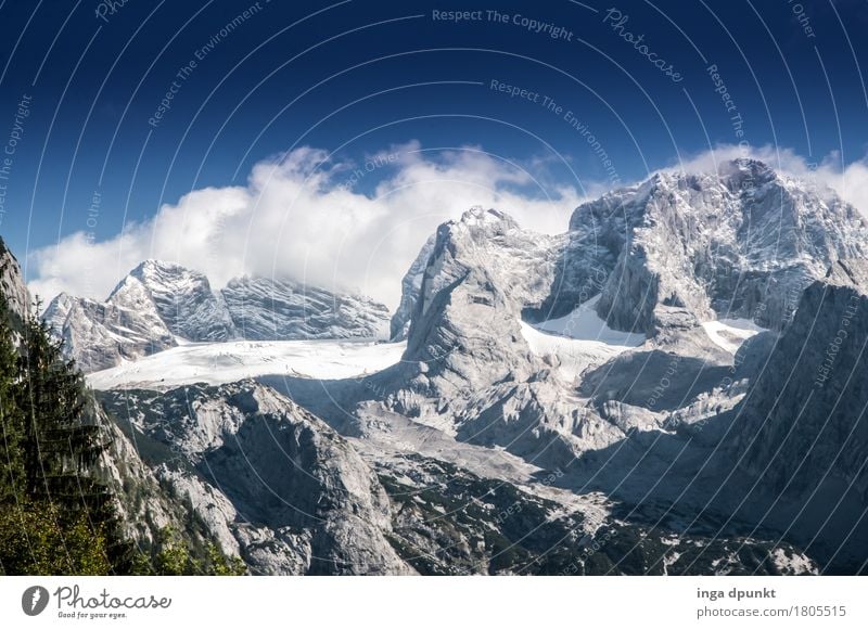 Gosaugletscher Umwelt Natur Landschaft Himmel Winter Klima Wetter Schönes Wetter Eis Frost Schnee Alpen Berge u. Gebirge Gipfel Schneebedeckte Gipfel Gletscher