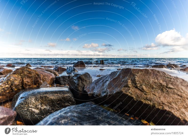 ostseestrand Landschaft Wasser Strand Ostsee Mitgefühl gehorsam friedlich achtsam Gelassenheit ruhig Sehnsucht Fernweh Farbfoto Außenaufnahme Menschenleer Tag