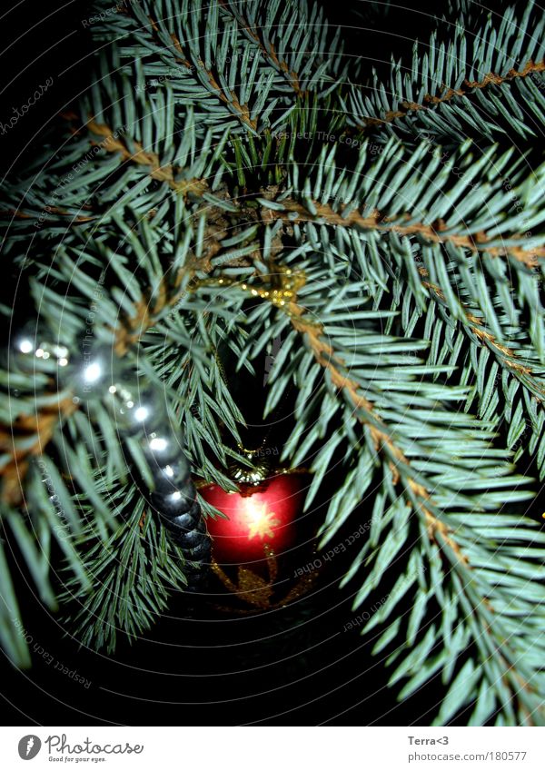 Lebkuchen gibt's ja auch schon. Farbfoto Innenaufnahme Nahaufnahme Detailaufnahme Menschenleer Textfreiraum oben Abend Dämmerung Blitzlichtaufnahme Licht