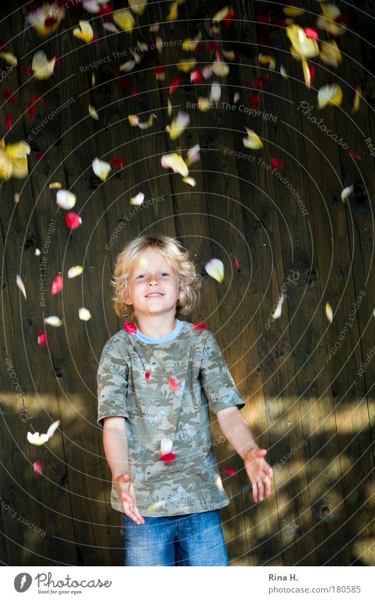 RosenBlätterRegen Kind Junge Kindheit 1 Mensch 3-8 Jahre T-Shirt Jeanshose blond Locken Spielen werfen Fröhlichkeit Glück blau gelb rot Freude Lebensfreude