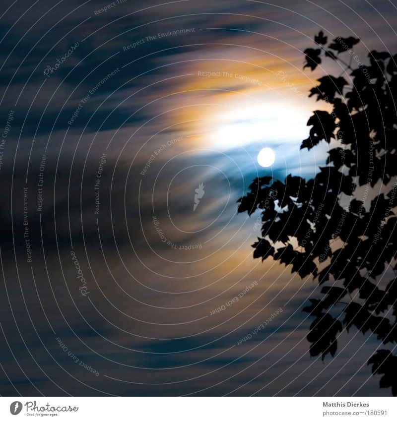 Geisterstunde Mond Vollmond Wolken Langzeichbelichtung Werwolf dunkel geheimnisvoll Blatt Baum Angst bedrohlich orange blau weiß Schleier Halo Nacht rund