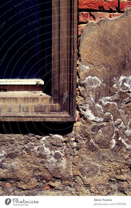 Sanierungsbedürftig Farbfoto Außenaufnahme Nahaufnahme Detailaufnahme Menschenleer Tag Zentralperspektive Bautzen Haus Gebäude Mauer Wand Fassade Fenster alt