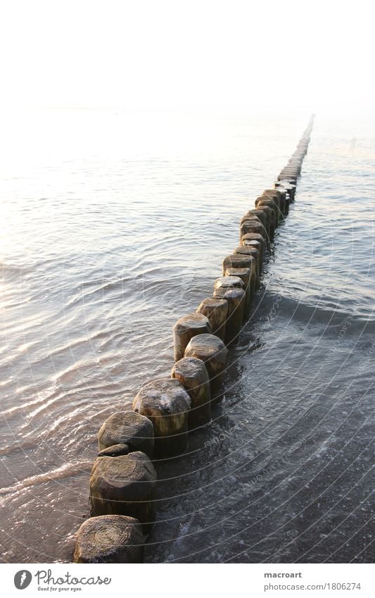 Buten Ostsee See Meer Holz holzpflöcke Holzpfahl Schutz Sand Strand Sandstrand Gewässer Natur natürlich Küste Wellen Ferien & Urlaub & Reisen Reisefotografie