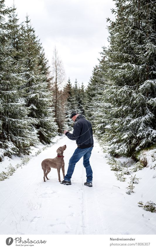 Winterspaß Freizeit & Hobby Spielen Ausflug Schnee Winterurlaub Mensch maskulin Mann Erwachsene Natur Wetter Schneefall Baum Wald Wege & Pfade Tier Haustier