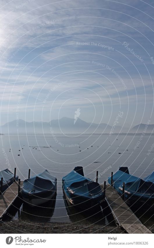 Schlafmützen... Ferien & Urlaub & Reisen Tourismus Umwelt Natur Landschaft Wasser Sonnenlicht Herbst Schönes Wetter Berge u. Gebirge Alpen See Chiemsee