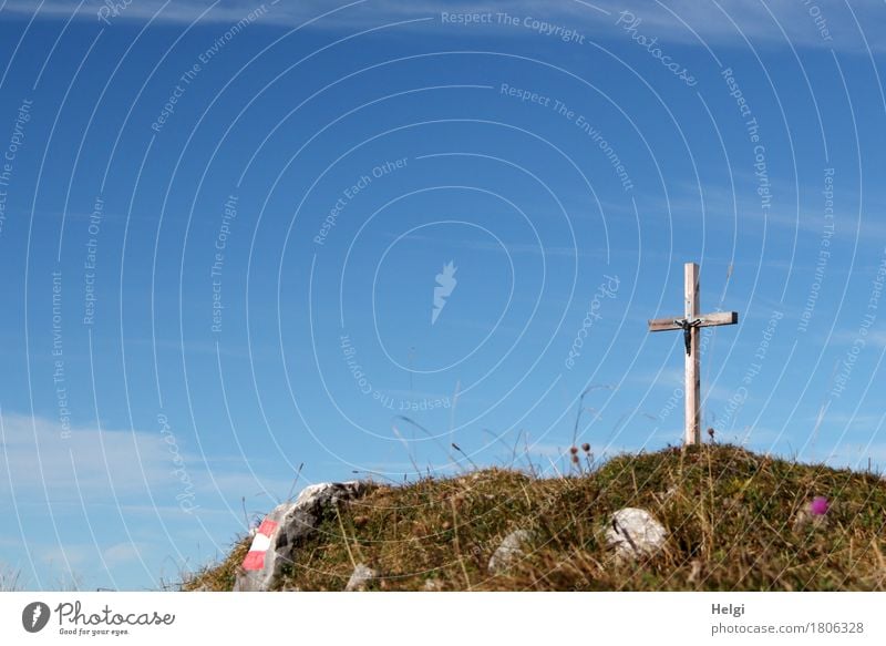 das ist doch der Gipfel... Ferien & Urlaub & Reisen Tourismus Freiheit Umwelt Natur Landschaft Pflanze Himmel Herbst Schönes Wetter Gras Wildpflanze Felsen