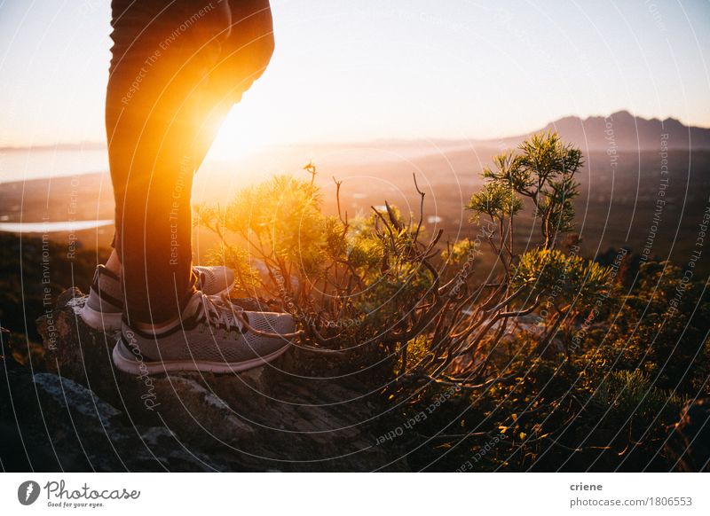 Nahaufnahme des stilvollen Turnschuhs in der Natur Abenteuer Sommer Sonne Berge u. Gebirge wandern Sport Fuß Landschaft Wärme Mode Schuhe Fitness stehen gold