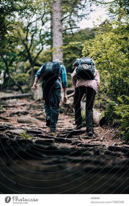 Geeigneter reifer Paarwandernder durch Wald Lifestyle Freude Abenteuer Sport Mensch Weiblicher Senior Frau Partner 2 45-60 Jahre Erwachsene Wolken Baum