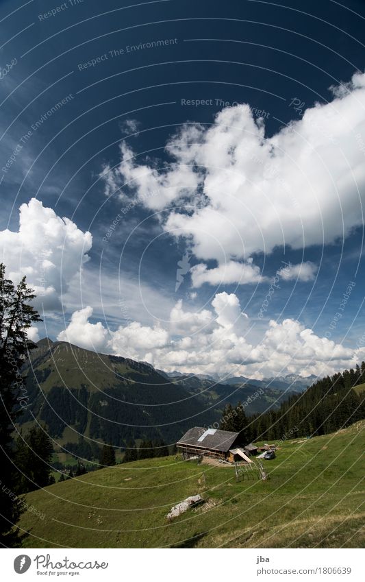 Alphütte Zufriedenheit ruhig Freizeit & Hobby Ausflug Berge u. Gebirge wandern Traumhaus Natur Landschaft Urelemente Luft Himmel Herbst Schönes Wetter Alpen