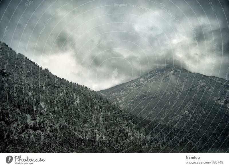 Es gibt kein schlechtes Wetter Farbfoto Gedeckte Farben Außenaufnahme Menschenleer Textfreiraum oben bedrohlich Berge u. Gebirge Wald Wolken grau kalt Winter