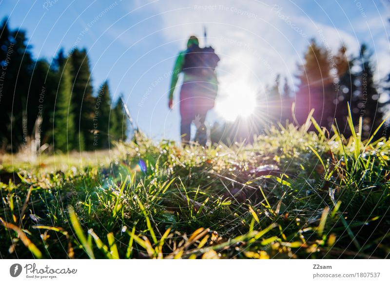 Aufwärts Lifestyle wandern Ferien & Urlaub & Reisen Ausflug Abenteuer 18-30 Jahre Jugendliche Erwachsene Sonne Schönes Wetter Wiese Alpen Berge u. Gebirge