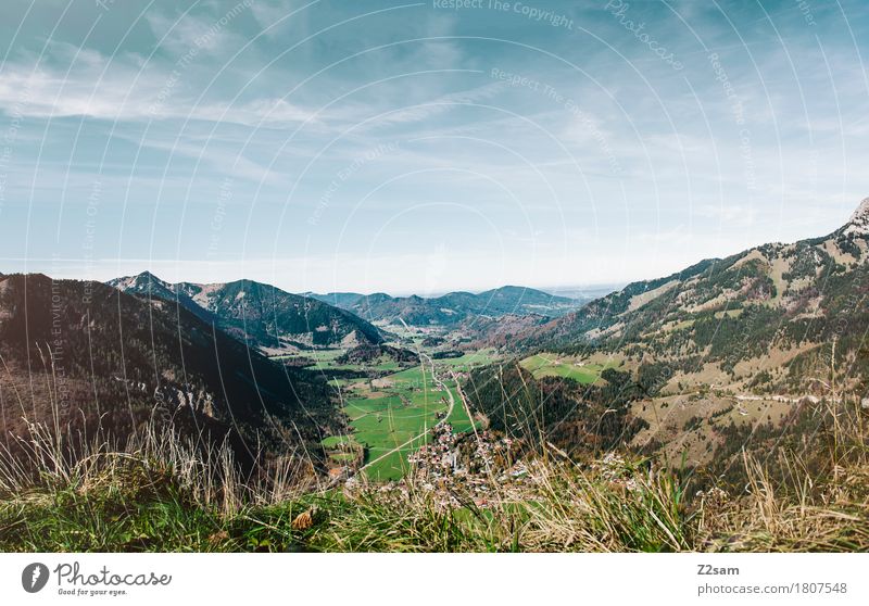 Bayrischzell wandern Natur Landschaft Himmel Sommer Schönes Wetter Wiese Alpen Berge u. Gebirge gigantisch Unendlichkeit natürlich blau grün Erholung Farbe