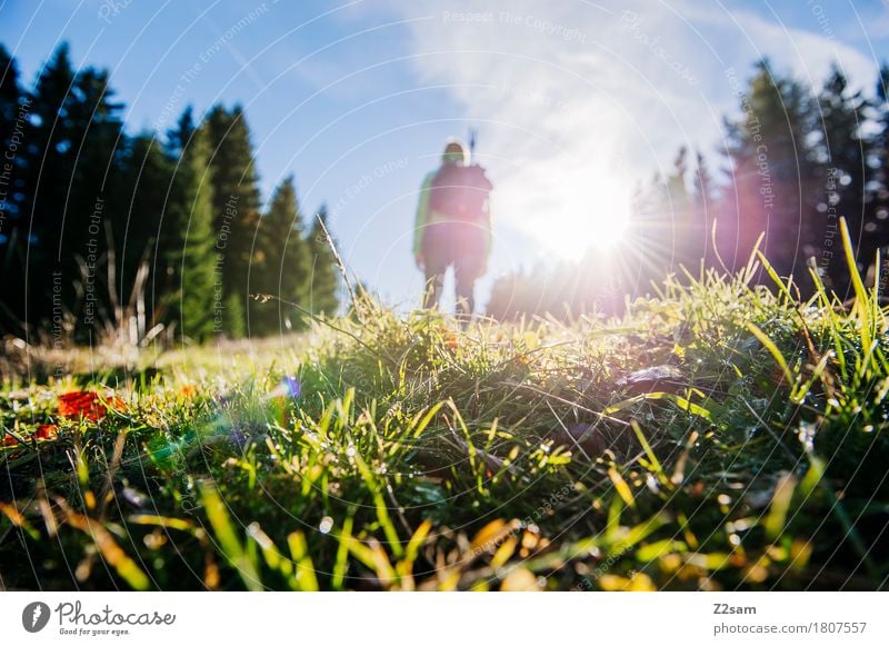 Der Sonne entgegen Lifestyle Freizeit & Hobby Ferien & Urlaub & Reisen Ausflug Abenteuer Berge u. Gebirge wandern feminin Natur Landschaft Himmel Sonnenlicht