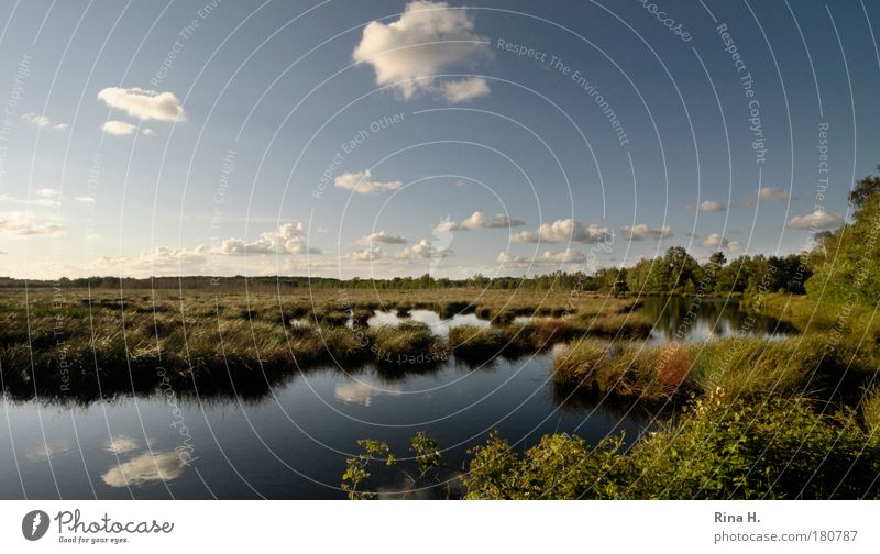 Himmelmoor Farbfoto Außenaufnahme Textfreiraum oben Tag Reflexion & Spiegelung Sonnenlicht Zentralperspektive Weitwinkel Umwelt Natur Landschaft Wasser Wolken