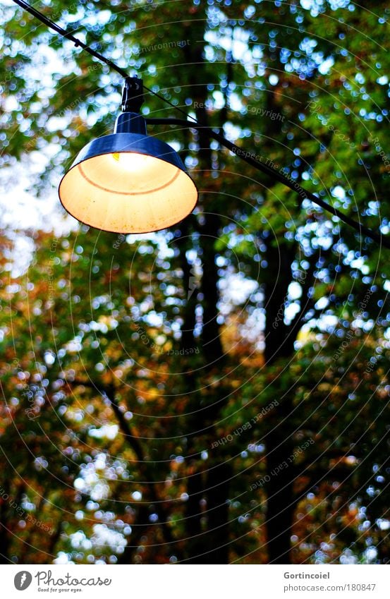 Biergarten Farbfoto Außenaufnahme Menschenleer Abend Dämmerung Kunstlicht Licht Tourismus Ausflug Lampe Glühbirne Kabel Nachtleben Restaurant Bar Cocktailbar