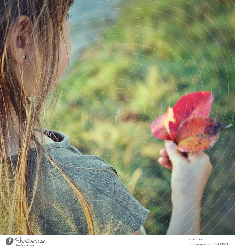 herbstlaub in kinderhand Kind Mädchen Haare & Frisuren Außenaufnahme Natur Blick Hand festhalten Blatt mehrfarbig Gras Wiese Kindheit natürlich entdecken