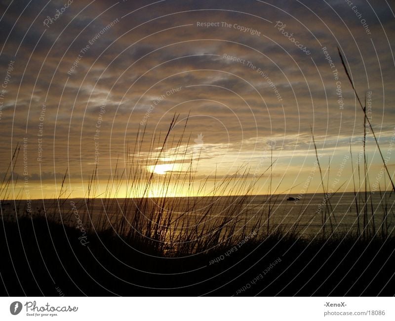 Sunset / Bretagne Sonnenuntergang Gras Meer Wolken gelb Farbe