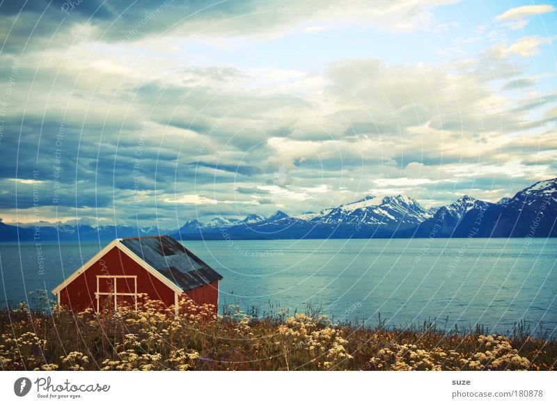 Bootshaus Erholung ruhig Ferien & Urlaub & Reisen Freiheit Meer Haus Umwelt Natur Landschaft Pflanze Wolken Blume Wiese Berge u. Gebirge Schneebedeckte Gipfel