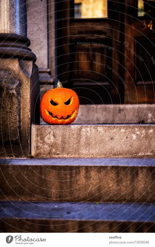 Halloween Gemüse gruselig USA trick or treat Kürbis kürbisgesicht schnitzen Grimasse Treppe Hauseingang Tradition Feiertag Farbfoto Außenaufnahme