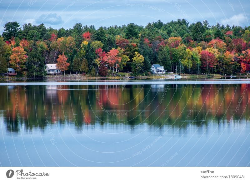 paradiesisch Natur Landschaft Herbst Wald Seeufer ästhetisch Indian Summer Neuengland Maine USA Reflexion & Spiegelung Idylle Farbfoto mehrfarbig Außenaufnahme