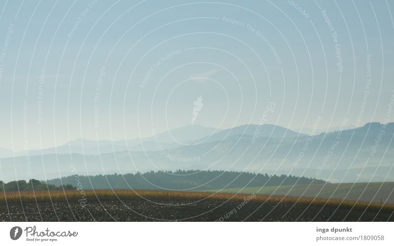 Nebelfelder Umwelt Natur Landschaft Pflanze Luft Wasser Himmel Herbst Schönes Wetter Feld Wald Hügel Alpen Berge u. Gebirge Salzkammergut Österreich