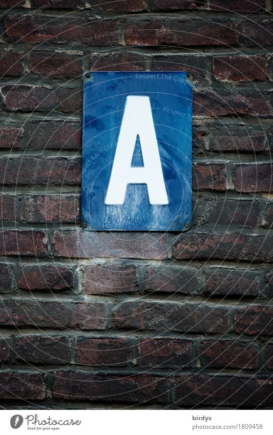 Alles ist möglich Mauer Wand Backsteinwand Schriftzeichen Schilder & Markierungen alt authentisch dunkel blau braun weiß Beginn Buchstaben Anfangsbuchstabe