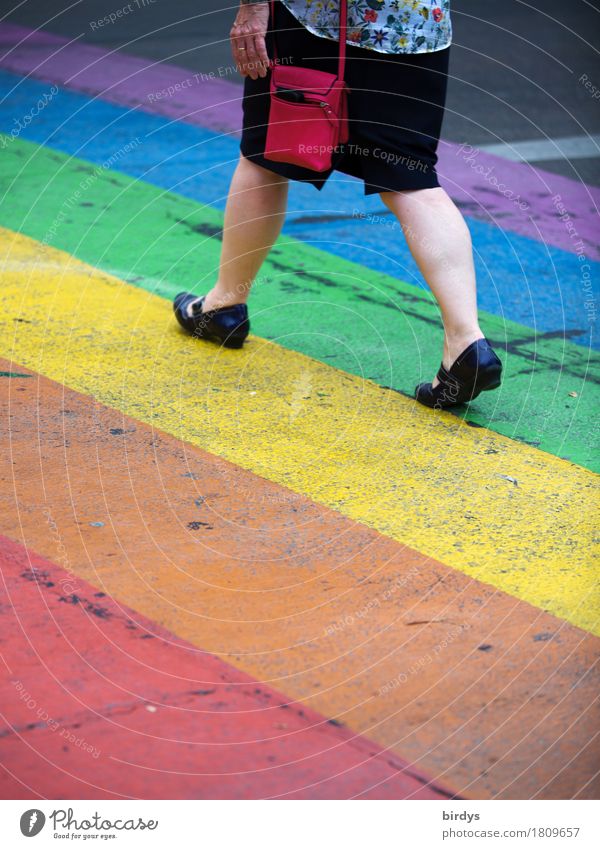 hurtig Lifestyle Stil feminin Frau Erwachsene 1 Mensch 45-60 Jahre Sommer Straße Zebrastreifen Hose Tasche Handtasche Schuhe rennen gehen laufen ästhetisch