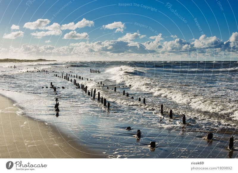 Die Ostseeküste an einem stürmischen Tag Erholung Ferien & Urlaub & Reisen Tourismus Strand Meer Natur Landschaft Wasser Wolken Sturm Küste Holz Romantik Idylle