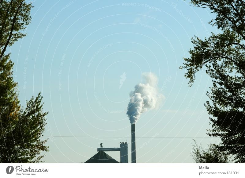 Industrienation Farbfoto Außenaufnahme Menschenleer Textfreiraum oben Tag Zentralperspektive Fabrik Umwelt Himmel Klimawandel Baum Dach Schornstein Rauch atmen