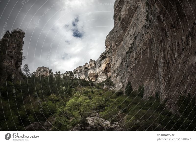 Felswand, Bäume, Tal Ferien & Urlaub & Reisen Tourismus Ausflug Ferne Berge u. Gebirge wandern Umwelt Natur Landschaft Himmel Gewitterwolken Horizont Wetter