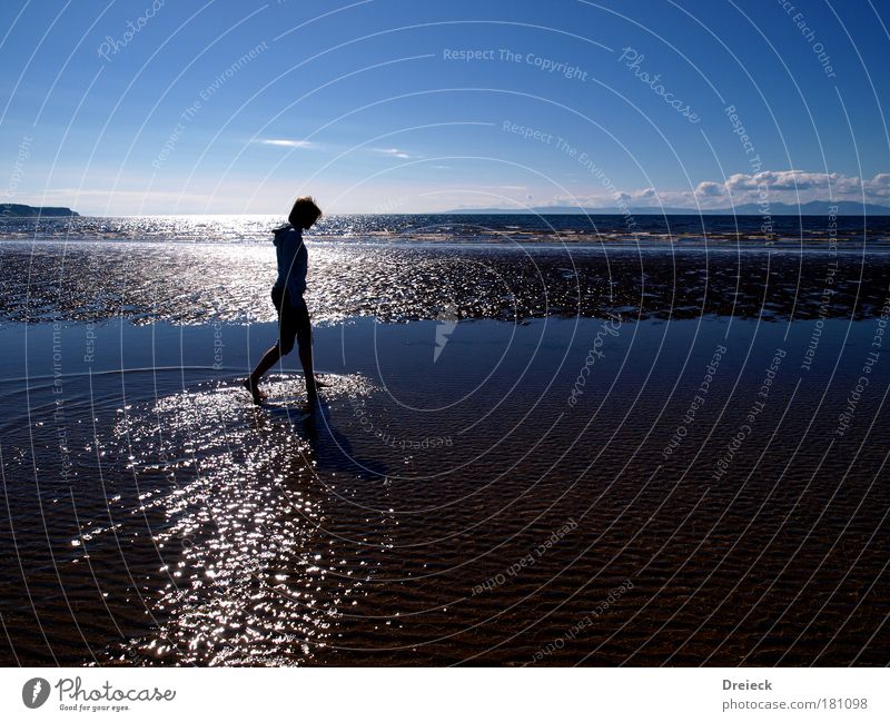 deep blue sea Farbfoto Außenaufnahme Tag Licht Schatten Kontrast Silhouette Reflexion & Spiegelung Lichterscheinung Sonnenlicht Gegenlicht Starke Tiefenschärfe