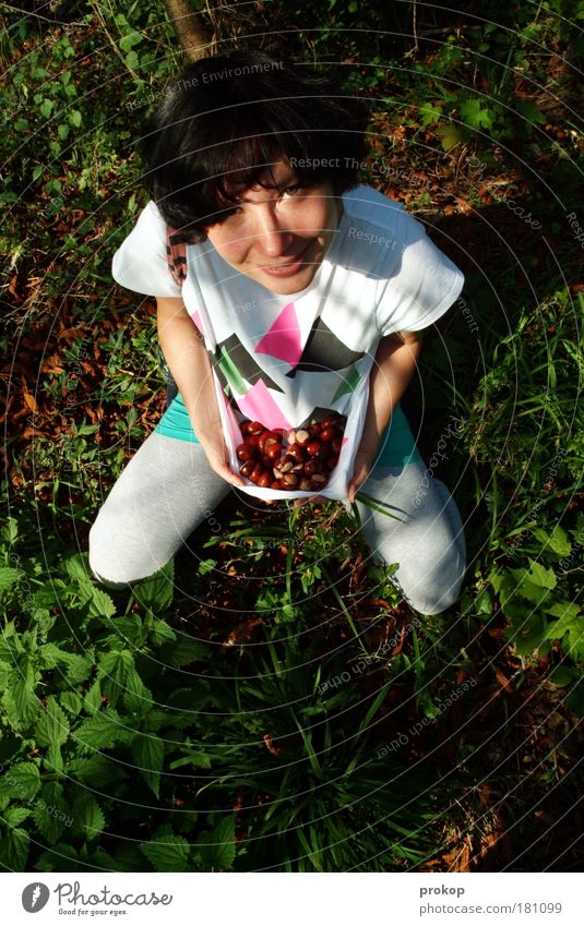 Jäger und Sammler Mensch feminin Junge Frau Jugendliche Erwachsene Umwelt Natur Pflanze Herbst Schönes Wetter Baum Gras Kastanie Wald festhalten frech