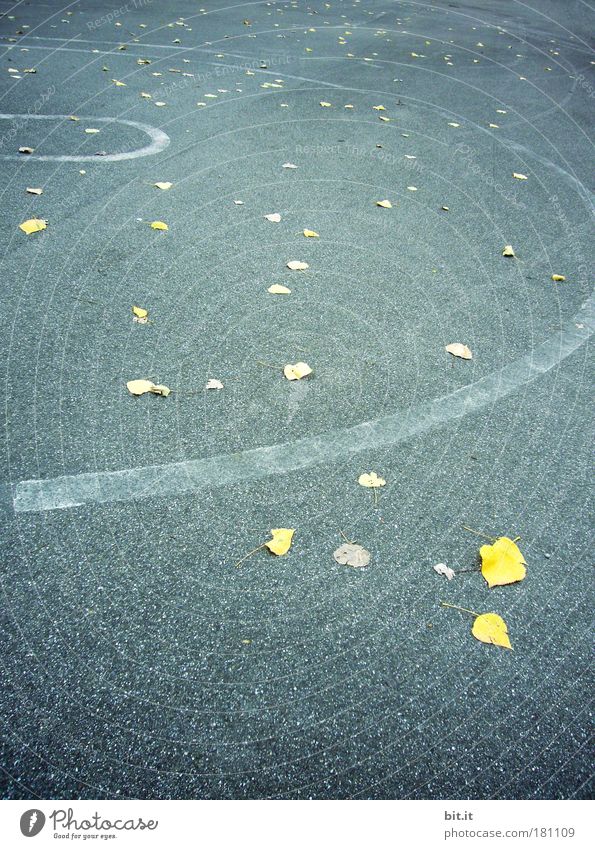 LAUF DER GEZEITEN Halfpipe Rennbahn Rollfeld Landebahn Skaterbahn Umwelt Herbst Blatt Herbstlaub herbstblatt herbstlich Herbstbeginn Herbstwetter Boden Straße