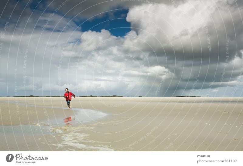 frei sein Farbfoto Außenaufnahme Textfreiraum rechts Textfreiraum oben Textfreiraum unten Tag Reflexion & Spiegelung Sonnenlicht Starke Tiefenschärfe