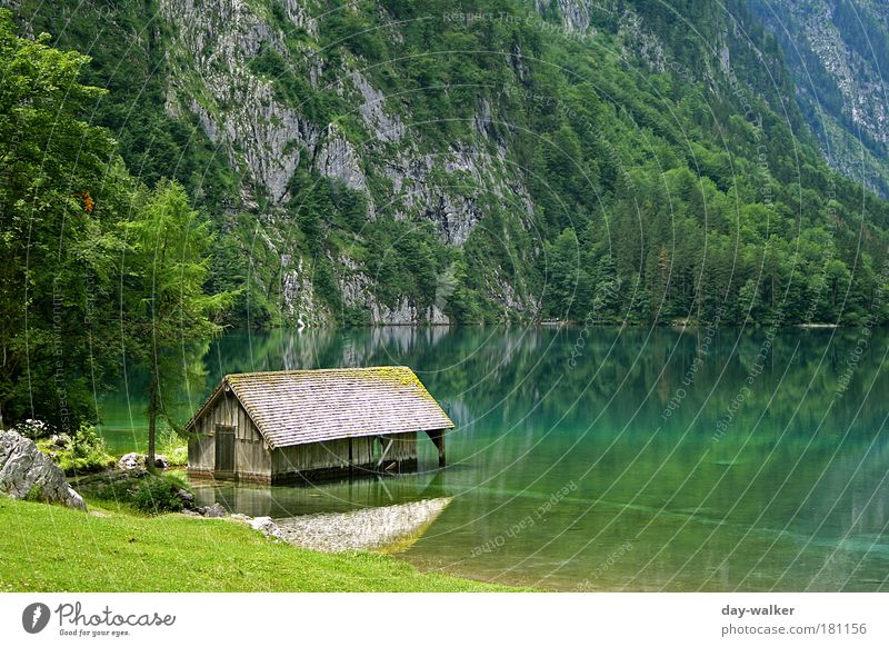 Hütte im Königssee II Farbfoto Außenaufnahme Menschenleer Tag Licht Schatten Kontrast Reflexion & Spiegelung Schwache Tiefenschärfe Natur Landschaft Pflanze