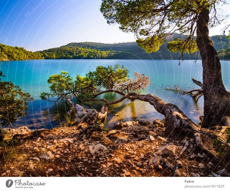 Mljet Natinal Park Umwelt Natur Landschaft Pflanze Sand Luft Wasser Himmel Wolkenloser Himmel Sommer Wetter Schönes Wetter Seeufer Bucht Meer Insel Glück