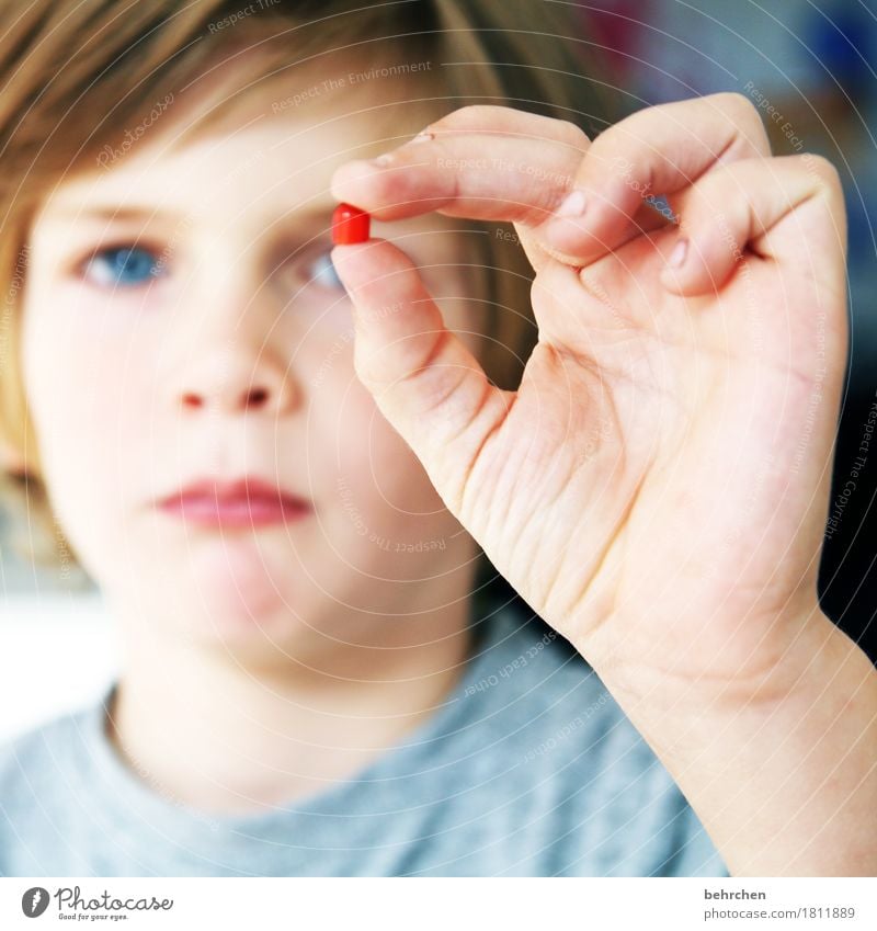 so klein ist das hirn von trump! Kind Junge Familie & Verwandtschaft Kindheit Körper Haut Kopf Haare & Frisuren Gesicht Auge Nase Mund Lippen Hand Finger 1