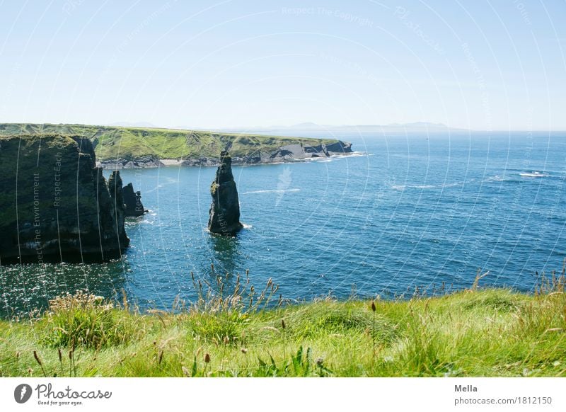 Standhaft Umwelt Natur Landschaft Wasser Gras Felsen Küste Bucht Meer Klippe hoch maritim natürlich blau Erholung Freiheit ruhig Brandungspfeiler Felsnadel