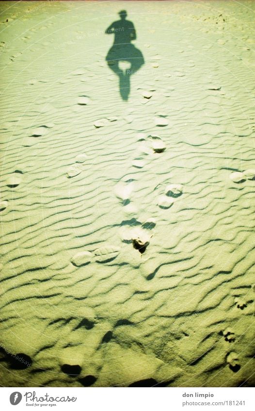 das ist spitze Außenaufnahme Experiment Abend Schatten Vogelperspektive Ganzkörperaufnahme Freiheit Körper 1 Mensch Sand Strand Bewegung fallen fliegen einfach