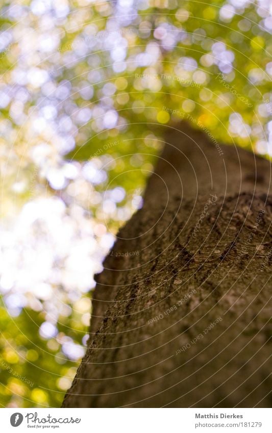 Hoch hinaus Farbfoto Außenaufnahme Menschenleer Textfreiraum links Textfreiraum oben Tag Licht Schatten Kontrast Reflexion & Spiegelung Lichterscheinung