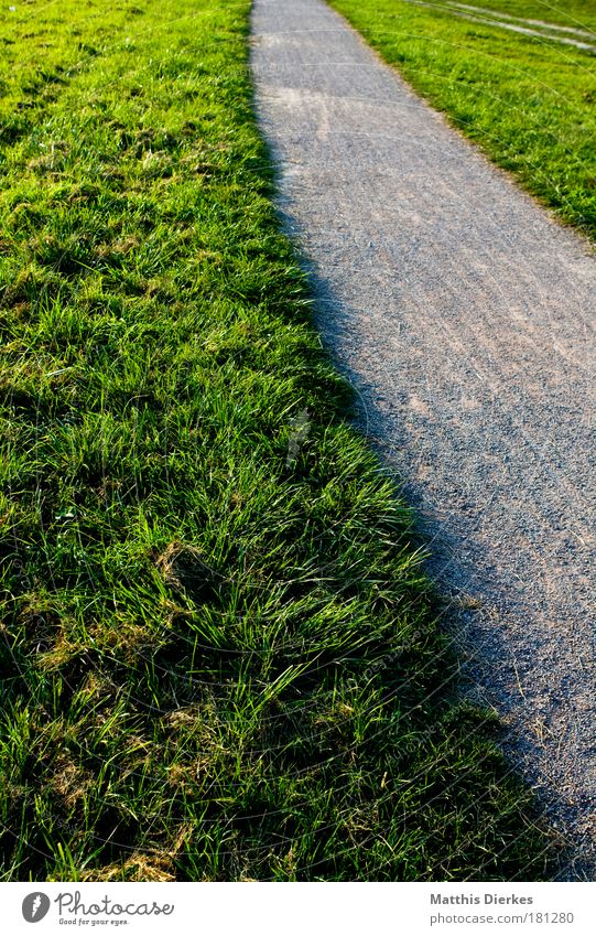 Weit weg Außenaufnahme Muster Strukturen & Formen Dämmerung Licht Schatten Kontrast Lichterscheinung Sonnenlicht Zentralperspektive Pflanze Garten Park Wiese