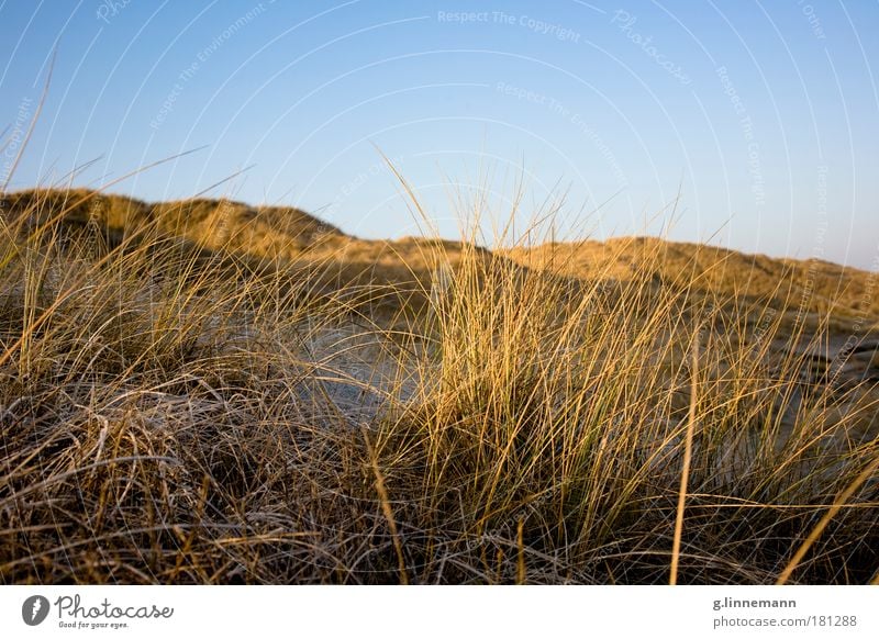 als sie mich... Küste. Farbfoto Gedeckte Farben Außenaufnahme Menschenleer Textfreiraum oben Morgen Dämmerung Sonnenlicht Sonnenaufgang Sonnenuntergang