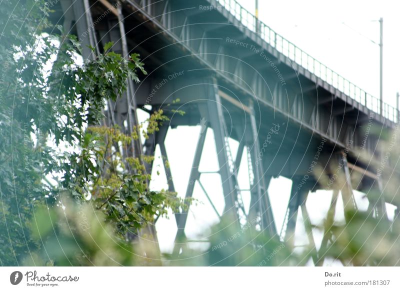 Romantischer Schlafplatz... Natur Rendsburg Verkehrswege Öffentlicher Personennahverkehr Güterverkehr & Logistik Bahnfahren Brücke Schienenverkehr Eisenbahn