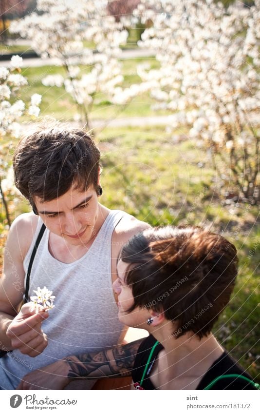 ick lieb dir III Farbfoto Außenaufnahme Sonnenlicht Schwache Tiefenschärfe Oberkörper Blick Stil Glück Mensch maskulin feminin Junge Frau Jugendliche