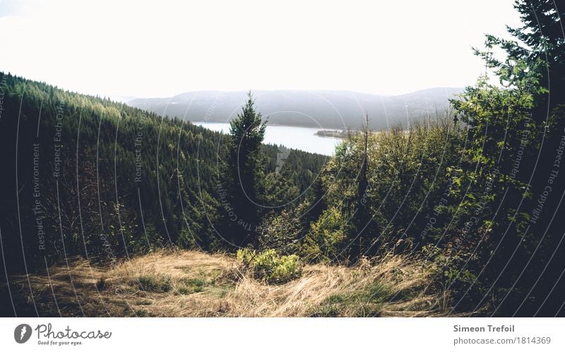 Schluchsee Ausflug Abenteuer Ferne Freiheit Berge u. Gebirge wandern Landschaft Herbst Nebel Wald Hügel Felsen Schwarzwald See Bewegung entdecken Erholung wild